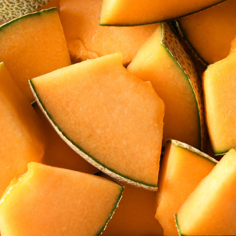 melon-salida