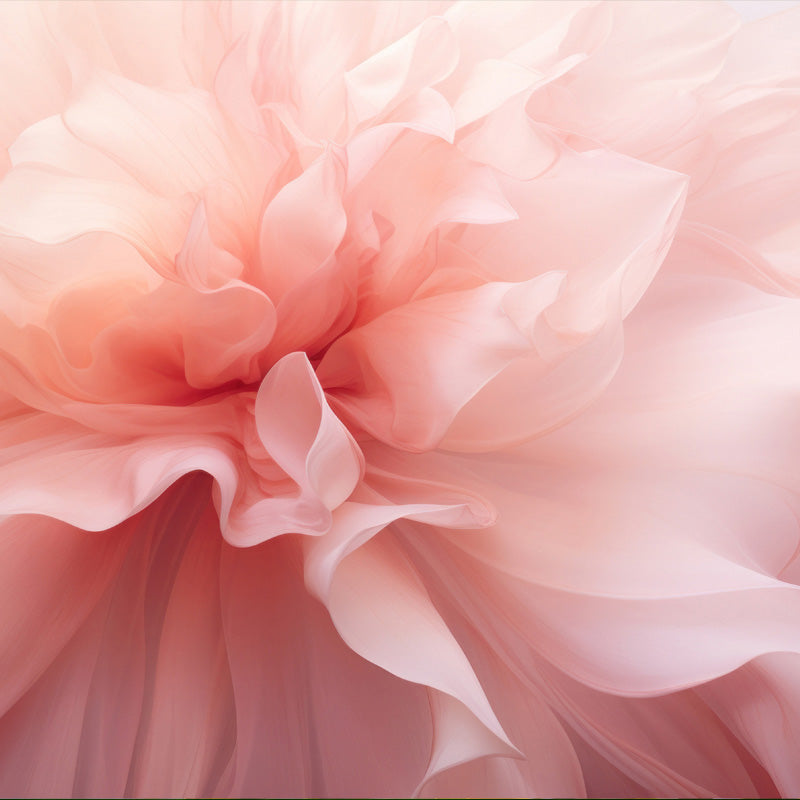 rosa-de-mayo-corazon